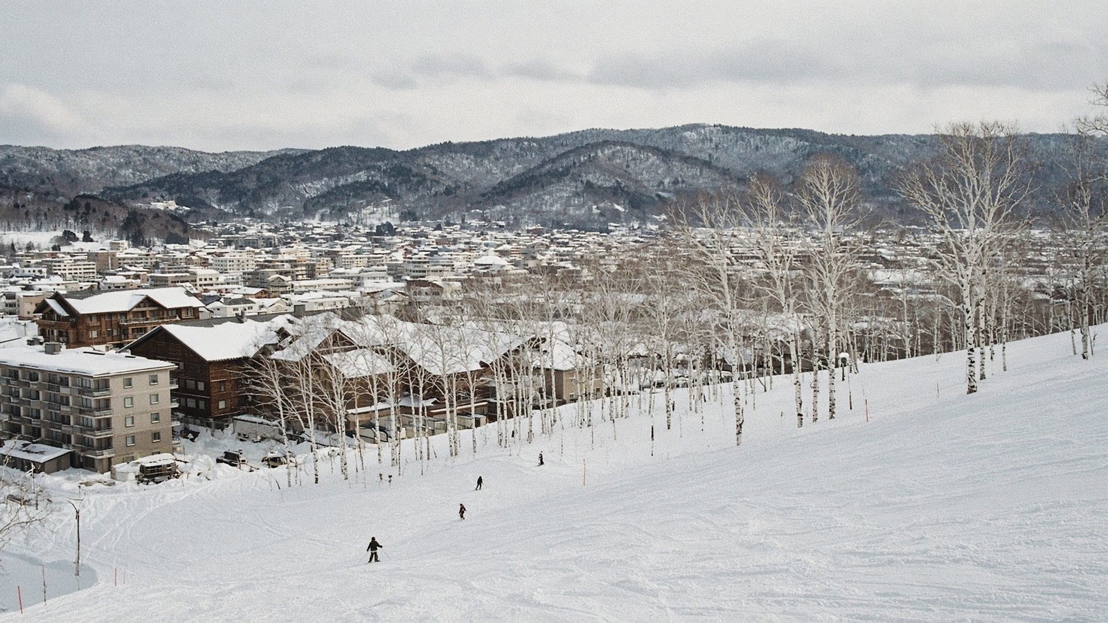 北之峰白樺林間雪道